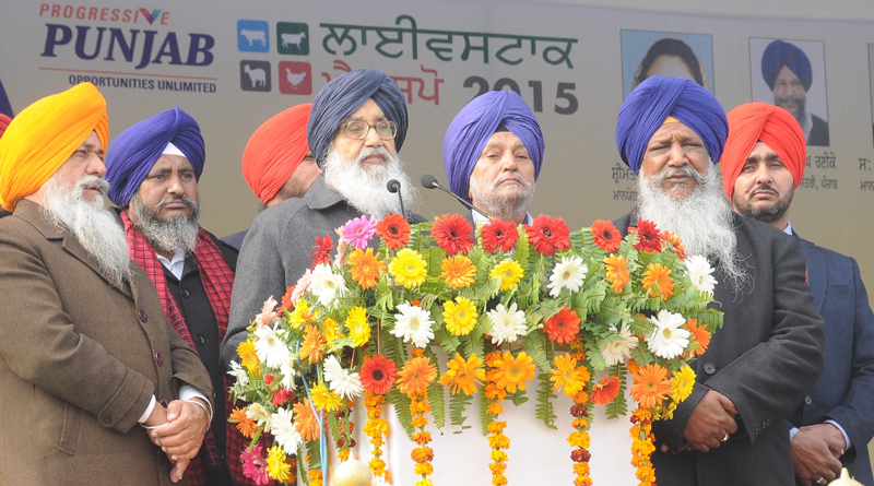 CM envisions Punjab as frontrunner state in White & Blue Revolution