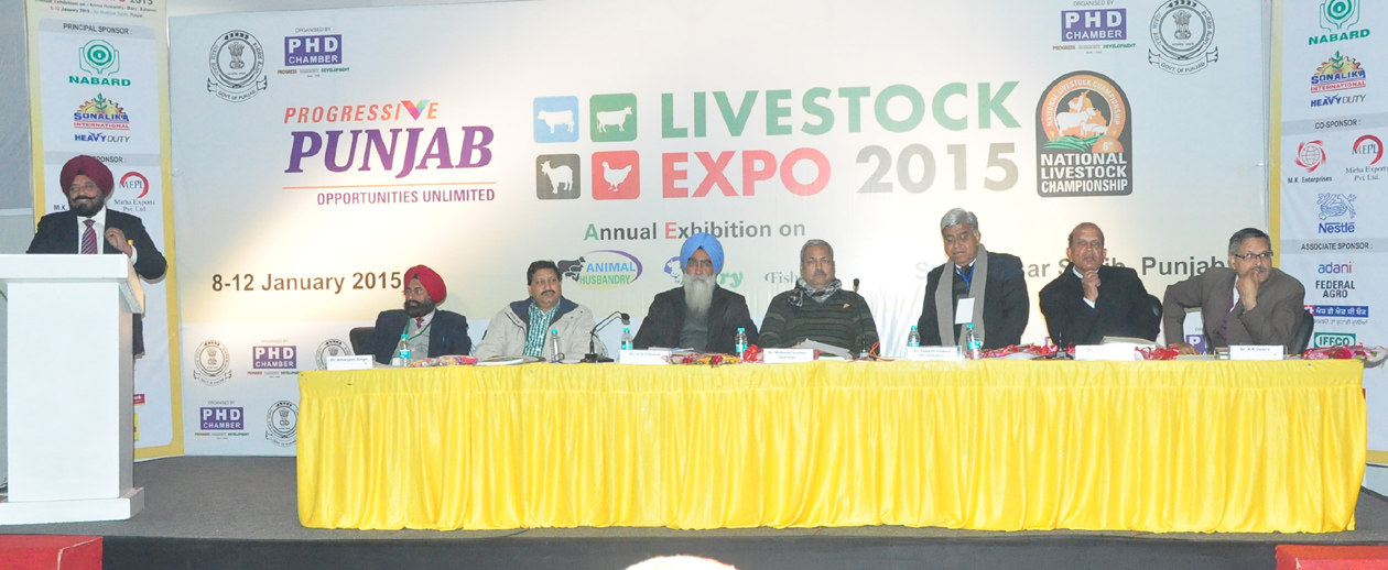 Commercial dairy farming has greatly contributed towards state’s development