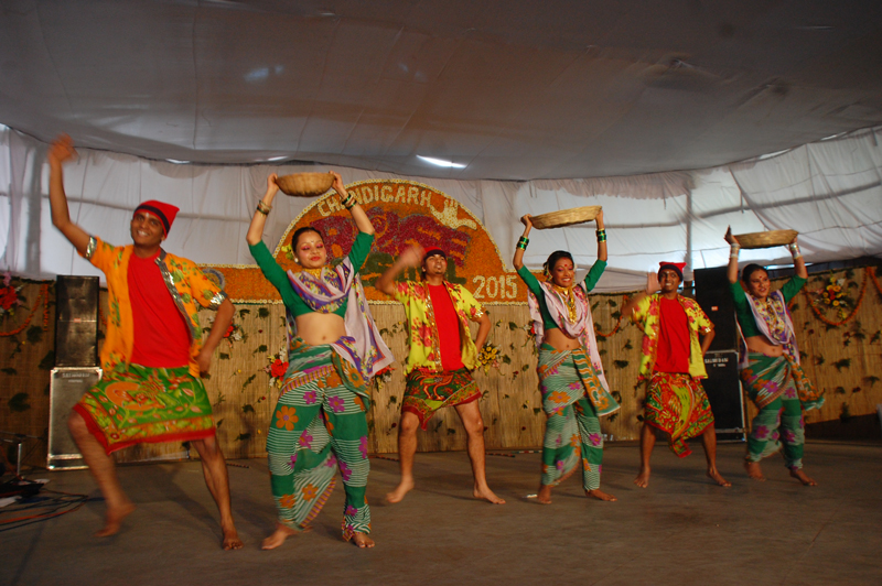 43rd Rose Festival Chandigarh
