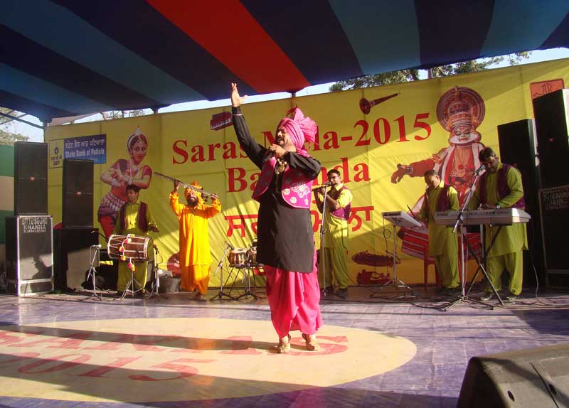 Saras Mela 2015 Images