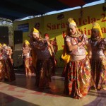 Saras Mela 2015 Images