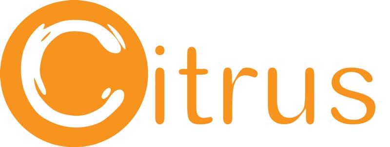 Live online payments in 5 minutes with Project Flight