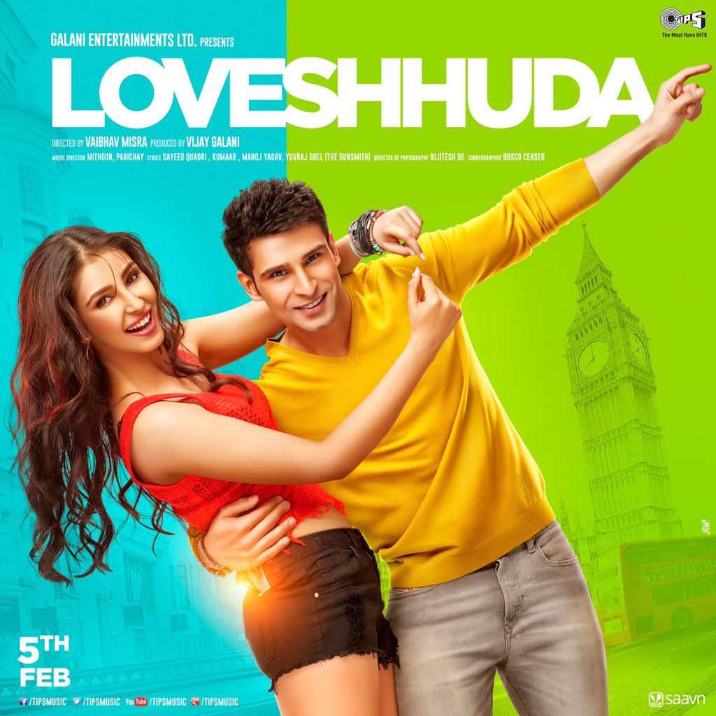 Romantic Movie Loveshhuda 1st Opening day Box Office Collection Total Earning