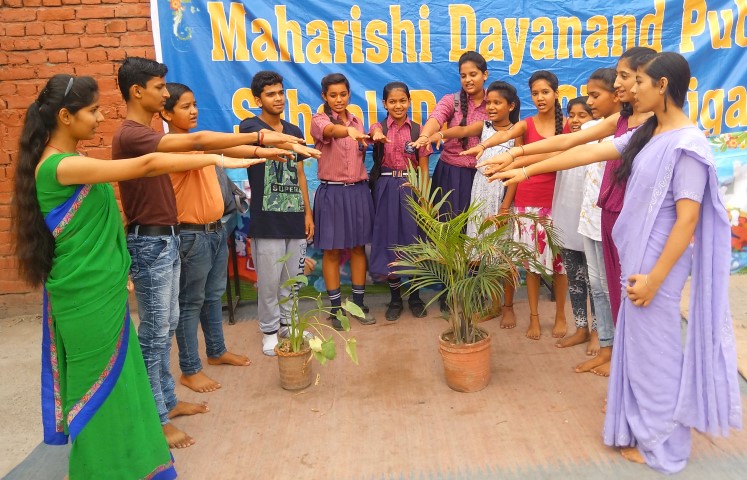 Maharishi Dayanand Public School organized a skit on World Population Day