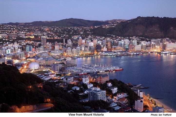 Wellington city view