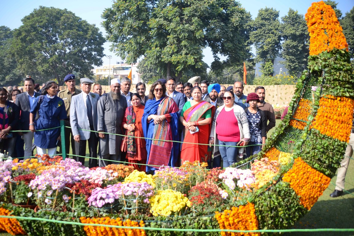 Chrysanthemum Show at Terraced Garden till December 10