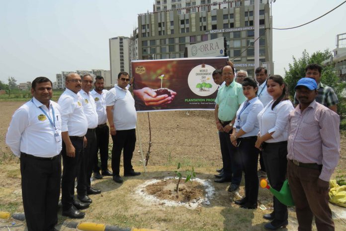 Rock and Storm plants 125 Ashoka Trees in Zirakupur
