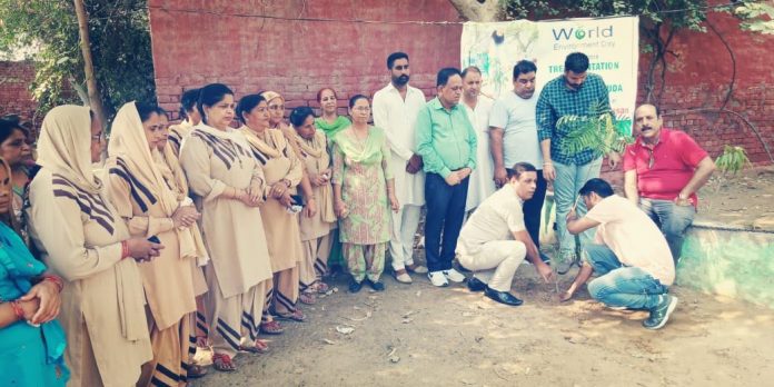 Tree plantation drives organized by MSGians