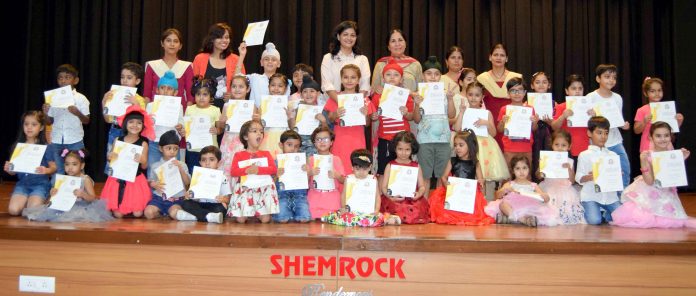 Summer Workshop Concluded at Shemrock School