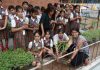 VANMAHOTSAV ADARSH PUBLIC SMART SCHOOL