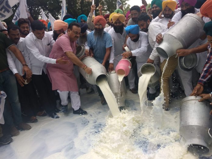 Milk Producers Of India Protested At Jantar-Mantar In New Delhi