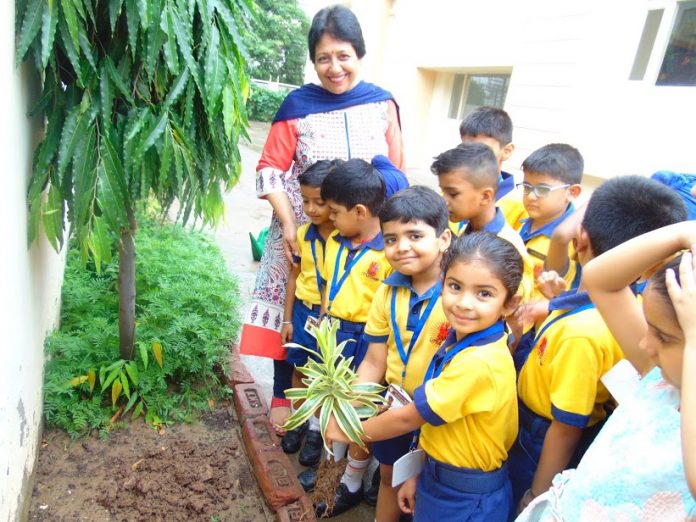 Vanmahotsav 2018 At SMD Little Champ Smart School, Panchkula