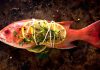 Go Bonkers over something Fishy at Pirates of Grill
