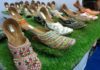Summer Shopping Bonanza exhibition starts at Kisan Bhawa