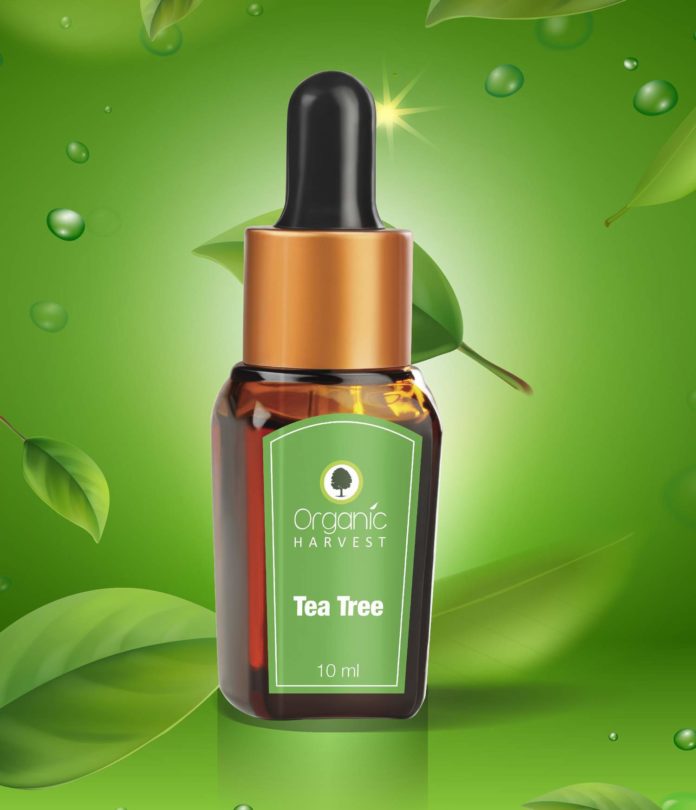 Organic Harvest launches one stop solution for skincare, haircare & body care