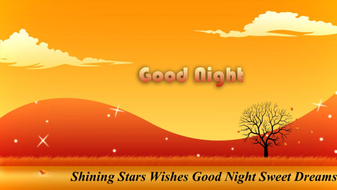 Best Good Night Wishes Quotes Status with Images Pictures Photos