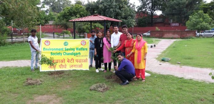 Shivanand Choubey Memorial Charitable Trust launches Environment Fortnight