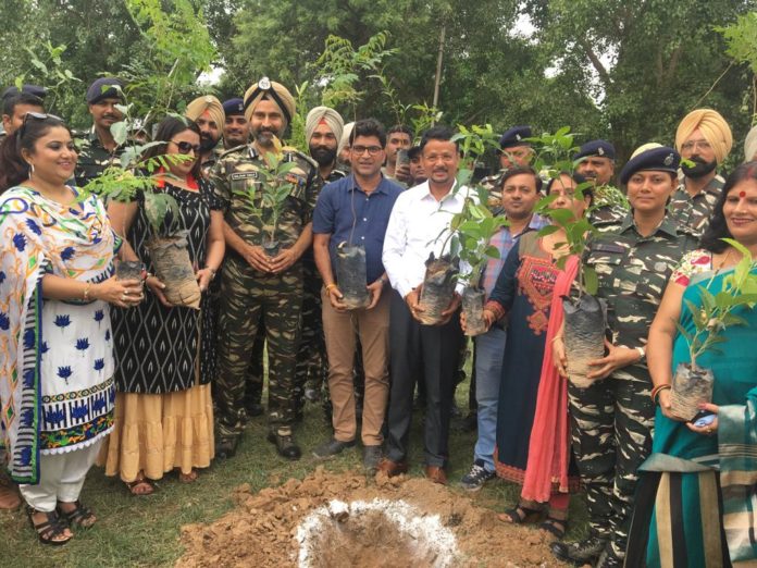 A Plant in honor of the soldiers of the our country