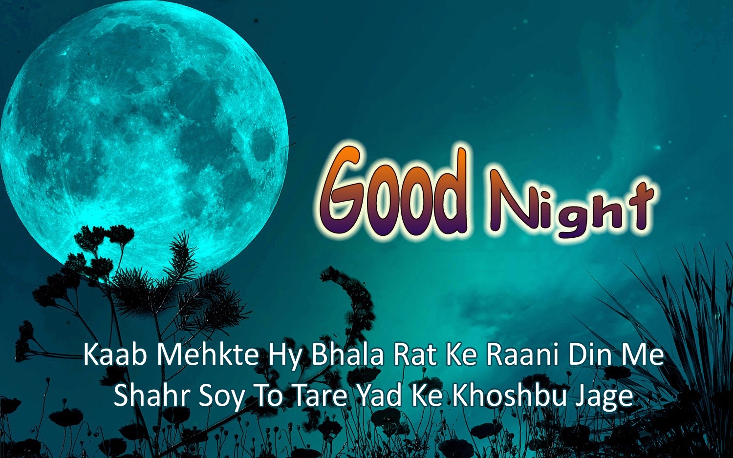 Sad Good Night Sms For Lover In Urdu And Hindi 2013 Newznew