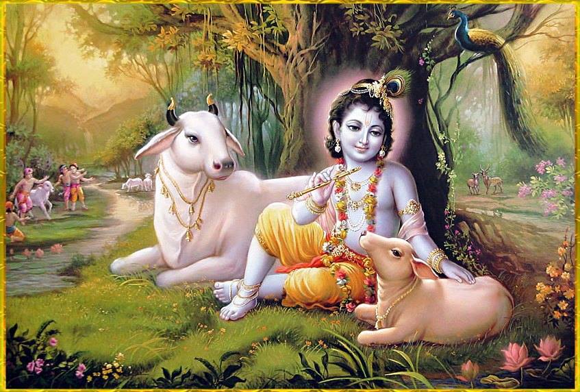 #2019!!! Happy Shri Krishna Janmashtami Wishes Quotes Sms Video Songs Wallpapers Whatsapp Status Dp Images