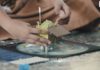 Fevicreate encourages future scientists