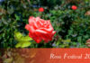 Rose Festival Chandigarh 2020