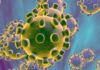 Coronavirus