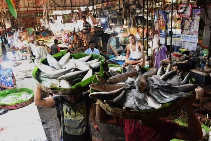 MCC auctions Fish Market at sector 41