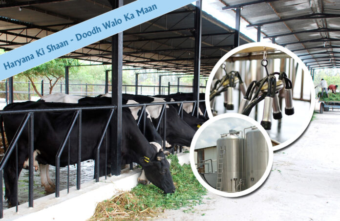 Haryana Dairy Development Cooperative Federation Ltd (HDDCF) has announced various schemes to benefit its distributors, booth holders, and dairy farmers