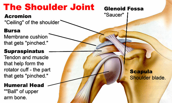 Two Stage Procedure treats complicated Arthritic Shoulder: Mohali, September 18, 2020