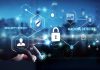 What is the employment scope in information security?