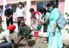 Tree Plantation Drive held on Forest Day