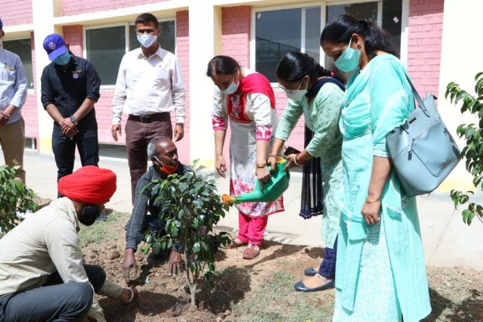 Tree Plantation Drive held on Forest Day