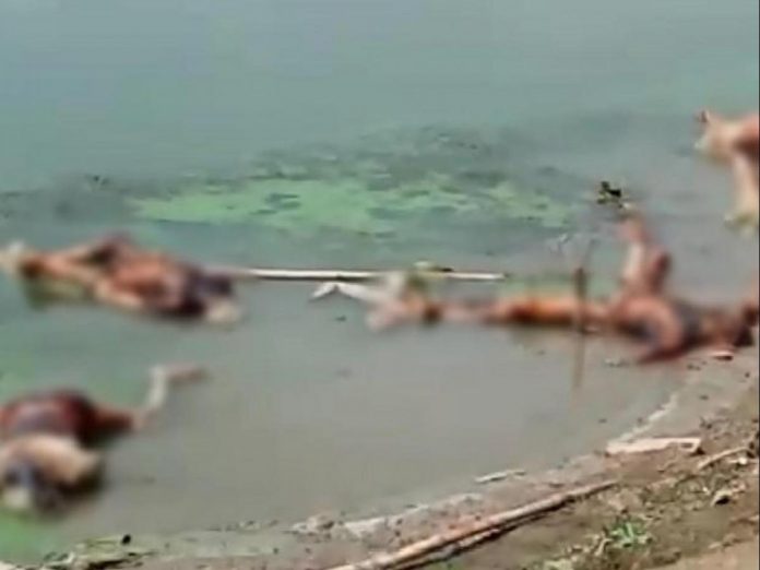 Bengal ups Ganga vigil to block floating bodies