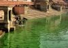 Ganga goes green in Varanasi