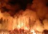Hundreds relocated from US mining town due to wildfire