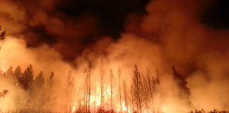 Hundreds relocated from US mining town due to wildfire