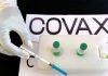 Punjab to join COVAX facility alliance for sourcing vaccines