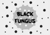 Colorful Fungus in Black and White Life