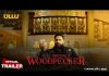 Woodpecker web series Wiki