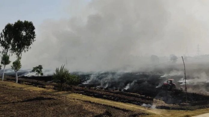 8000 students write to CM, seek right to breathe clean air in Punjab