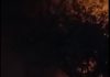 Fire in Delhi’s Tikri market
