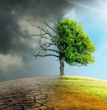 The government of Himachal Pradesh and GIZ join hands to host a two-day Climate Conference
