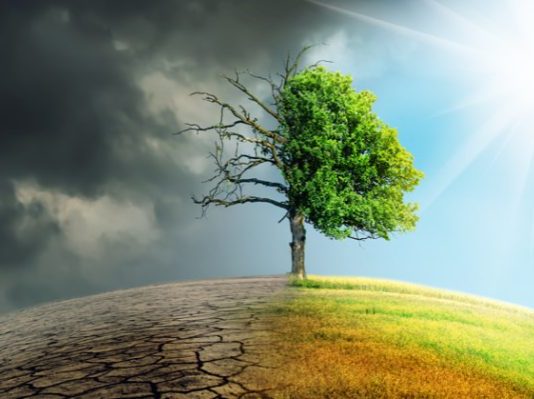 The government of Himachal Pradesh and GIZ join hands to host a two-day Climate Conference
