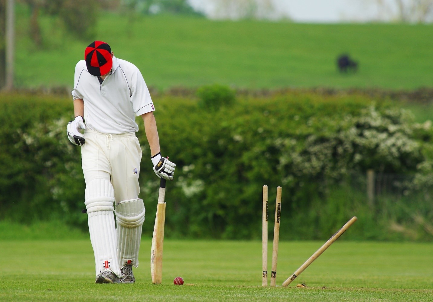 Guide to Effective Cricket Betting