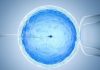 Myths And Facts About IVF_ Babies & Us