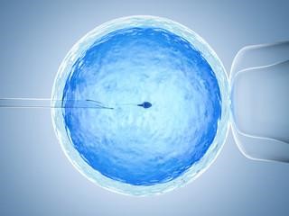 Myths And Facts About IVF_ Babies & Us