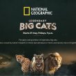 Nat Geo Wild to spread the roar with its all-new series ‘Legendary Big Cats’