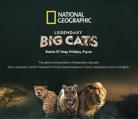 Nat Geo Wild to spread the roar with its all-new series ‘Legendary Big Cats’