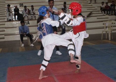 5th Emerald Taekwondo Championship Held